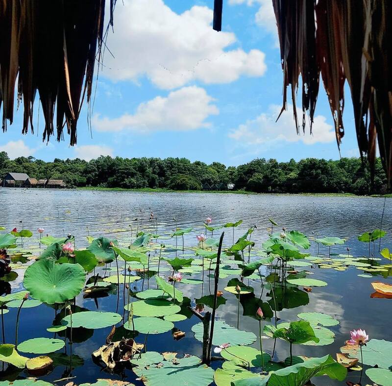 Bản đồ Trằm Trà Lộc