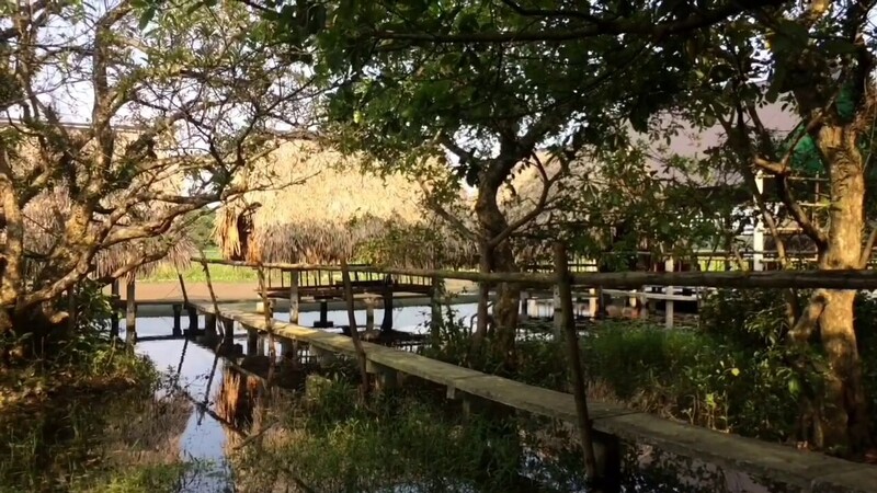 Thưởng ngoạn thiên nhiên Trằm Trà Lộc