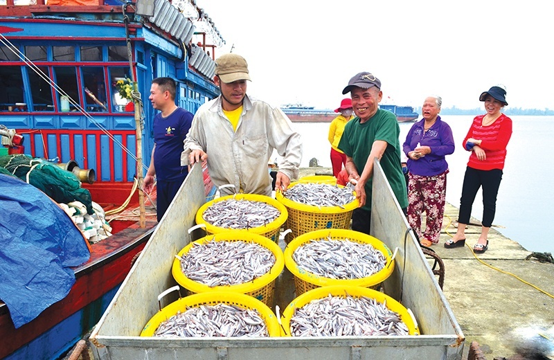 Cuộc sống người dân Đảo Cồn Cỏ