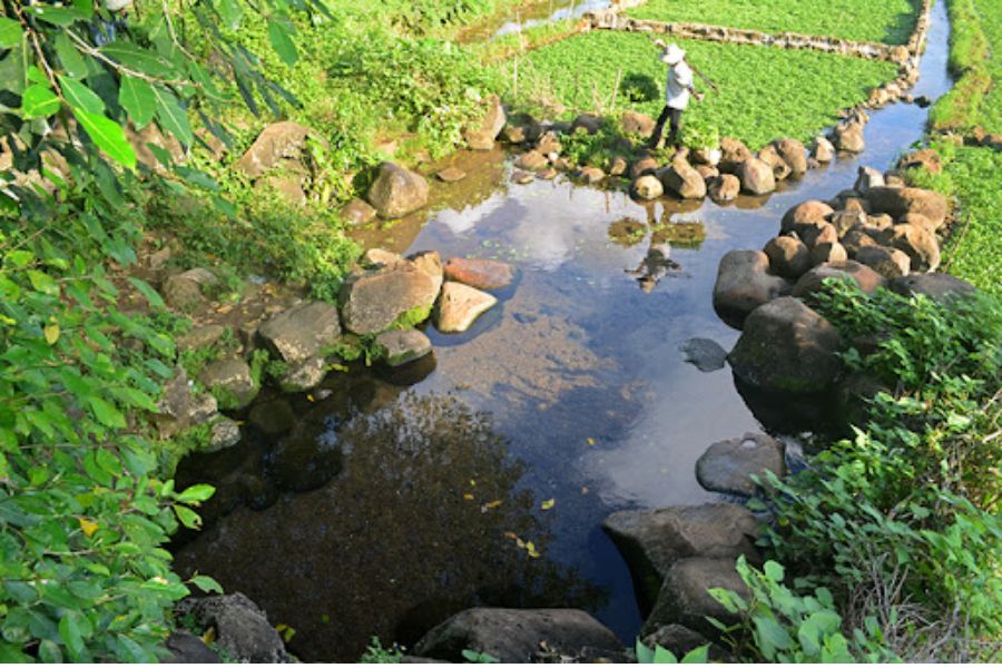 Giếng cổ Gio An hàng nghìn năm tuổi